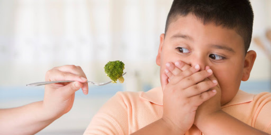 Is your child fussy eater